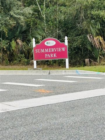 3343 WOLF RUN ROAD, Mount Dora, FL 32757