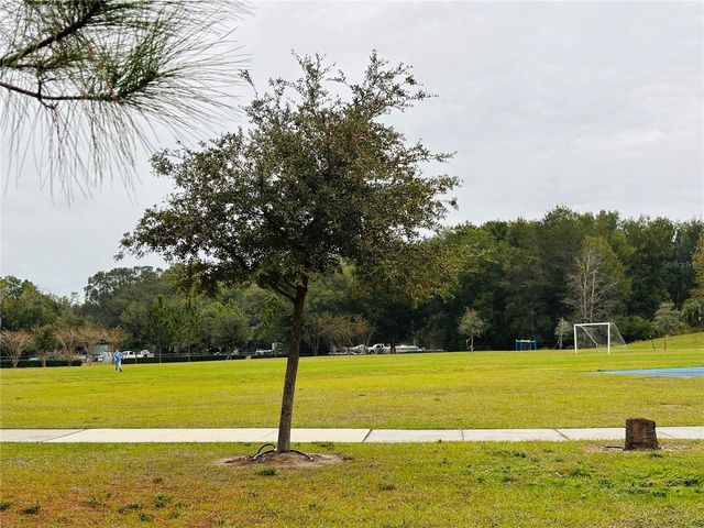 3343 WOLF RUN ROAD, Mount Dora, FL 32757