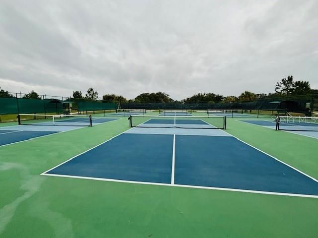 3343 WOLF RUN ROAD, Mount Dora, FL 32757