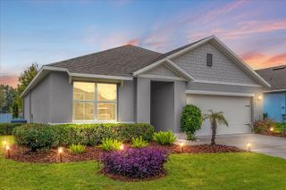 3343 WOLF RUN ROAD, Mount Dora, FL 32757