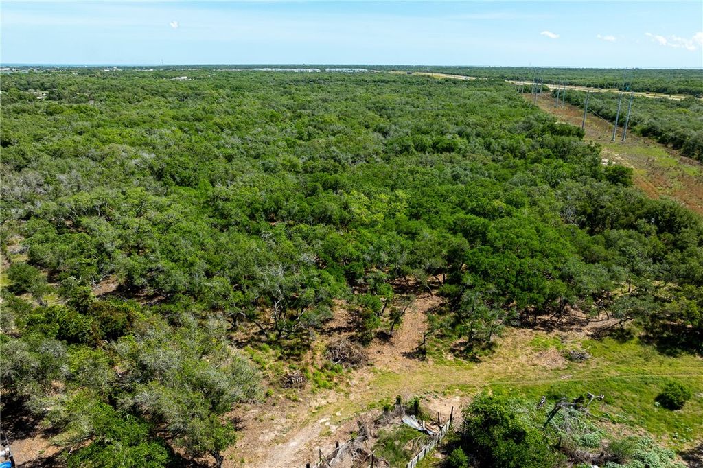 294 Tedford, Rockport, TX 78382 — photo 2