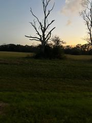 1007 Chuckwagon Trail, Angleton, TX 77515