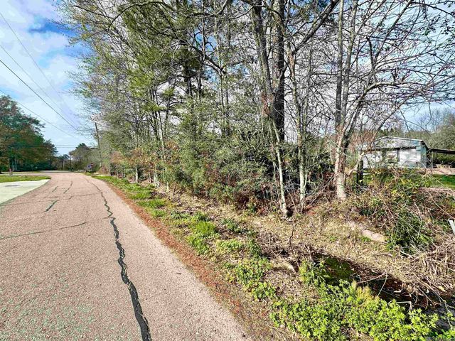 29208 S Satsuma Rd, Satsuma, LA 70754