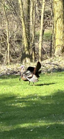 3345 Brook Trail Se, City Of Grand Rapids, MI 49508