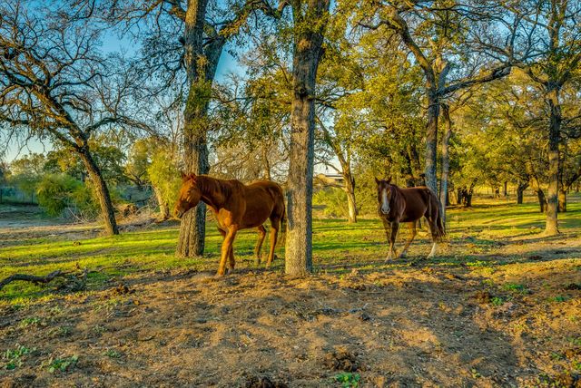 109 Tango Road, Weatherford, TX 76087
