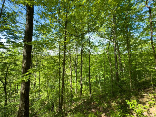 140 Sycamore Street, Glouster, OH 45732