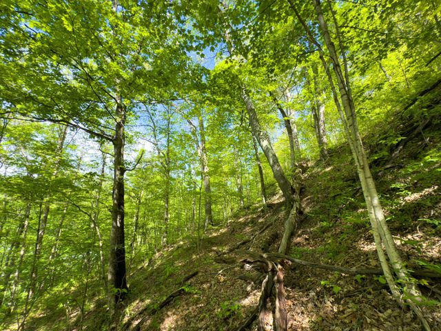 140 Sycamore Street, Glouster, OH 45732