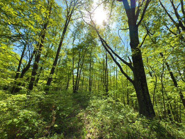 140 Sycamore Street, Glouster, OH 45732