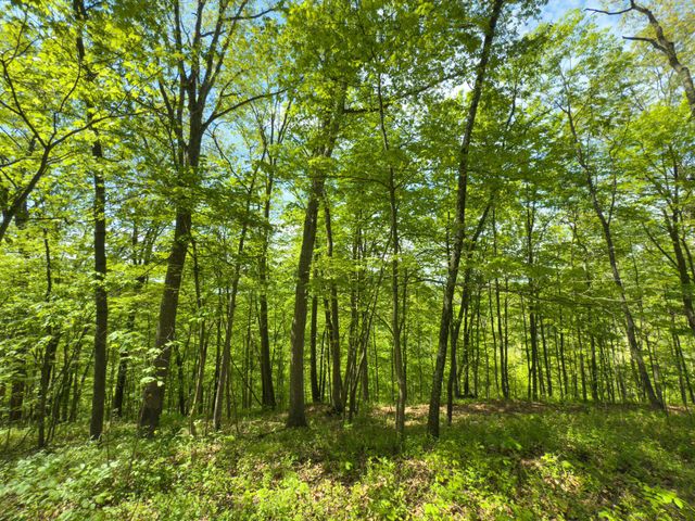 140 Sycamore Street, Glouster, OH 45732