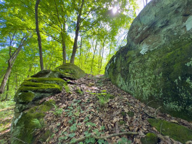 140 Sycamore Street, Glouster, OH 45732