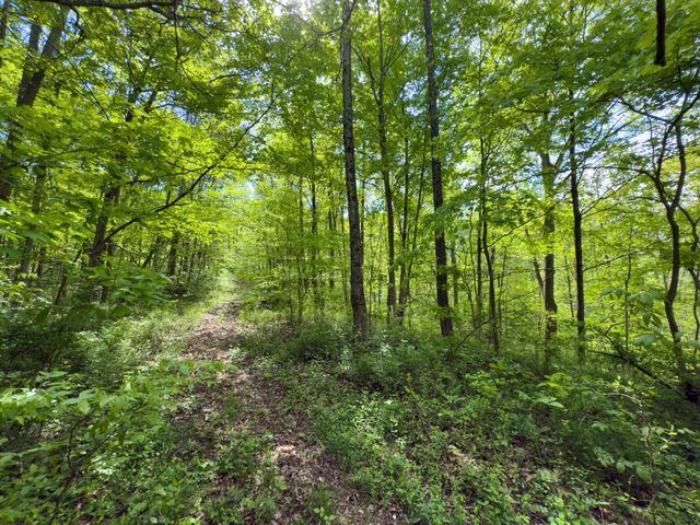 140 Sycamore Street, Glouster, OH 45732