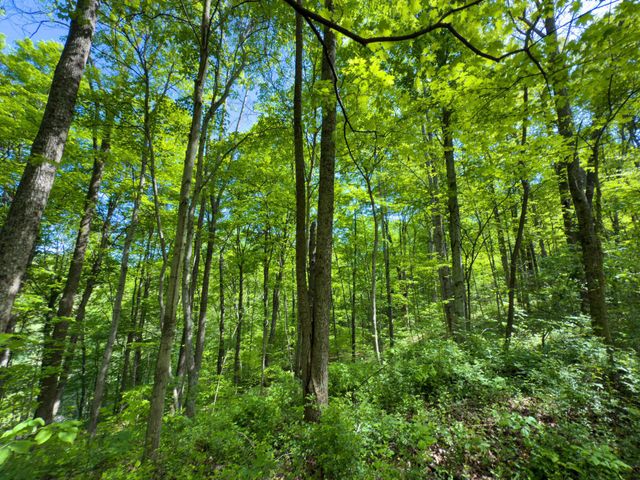 140 Sycamore Street, Glouster, OH 45732