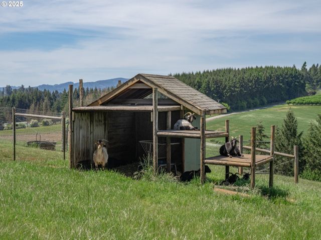 11825 Ne FINN HILL Loop, Carlton, OR 97111