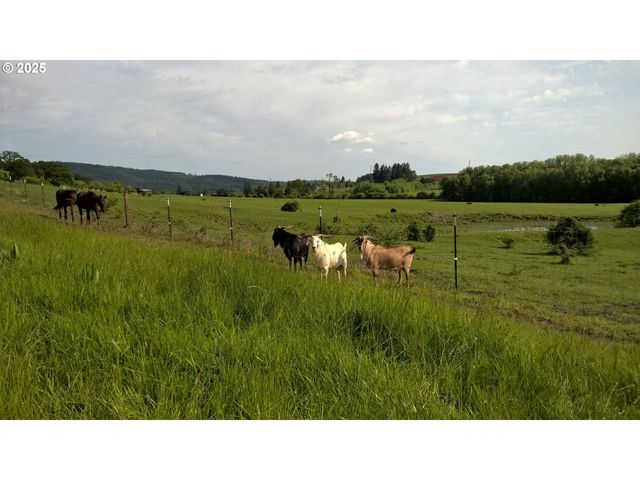 11825 Ne FINN HILL Loop, Carlton, OR 97111