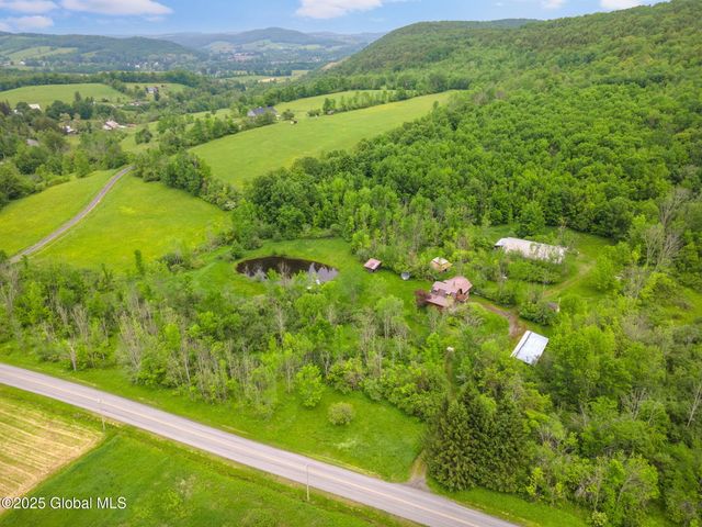 774 W Richmondville Road, Seward, NY 12043