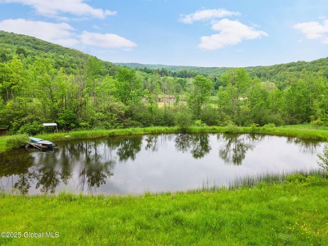 774 W Richmondville Road, Seward, NY 12043