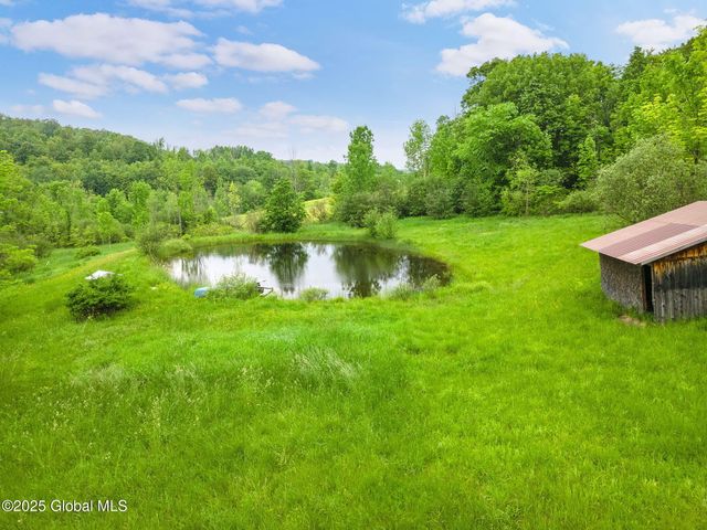774 W Richmondville Road, Seward, NY 12043