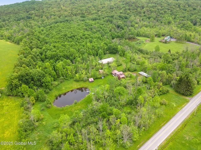 774 W Richmondville Road, Seward, NY 12043