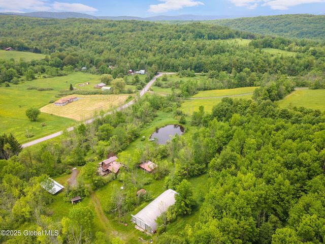 774 W Richmondville Road, Seward, NY 12043