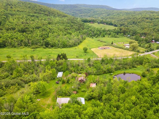 774 W Richmondville Road, Seward, NY 12043