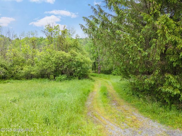 774 W Richmondville Road, Seward, NY 12043