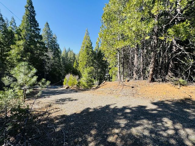 7556 Red Eagle, Shingletown, CA 96088