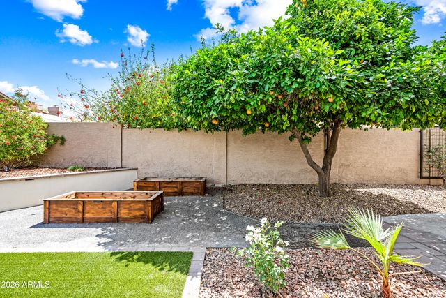 1532 W TARA Drive, Gilbert, AZ 85233
