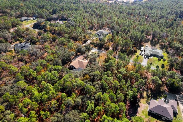 3135 N Buckhorn Drive, Beverly Hills, FL 34465