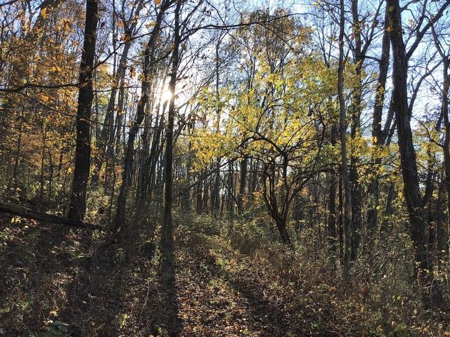 3955 Kennedy Creek Rd, Auburntown, TN 37016