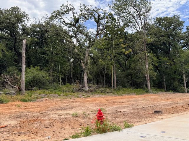 Lot 15 TBD Pardise Cove Road, Lakeside, TX 76108