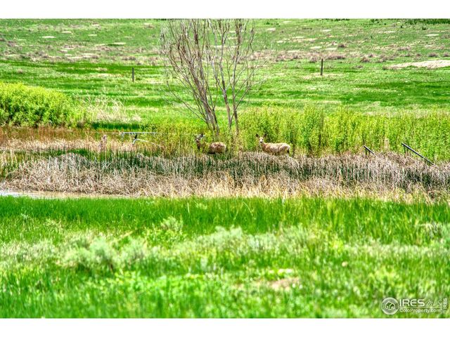 1 County Road 78, Eaton, CO 80615