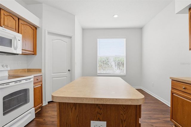 19043 NEW PASSAGE BOULEVARD, Land O Lakes, FL 34638