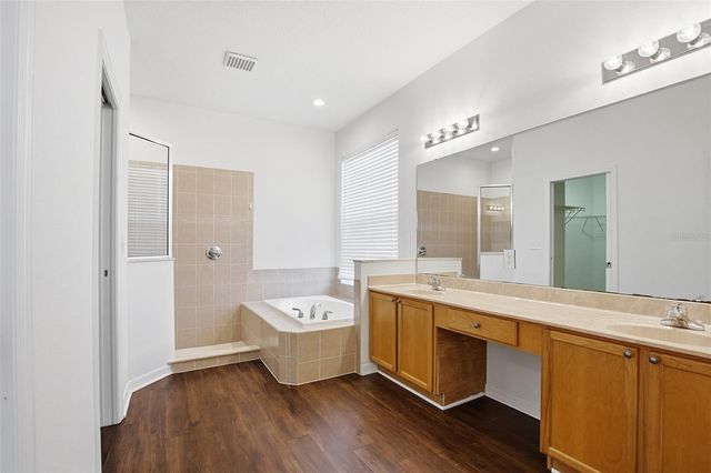 19043 NEW PASSAGE BOULEVARD, Land O Lakes, FL 34638