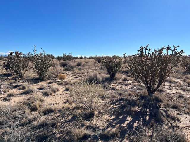 4600 Majesty Road NE, Rio Rancho, NM 87144