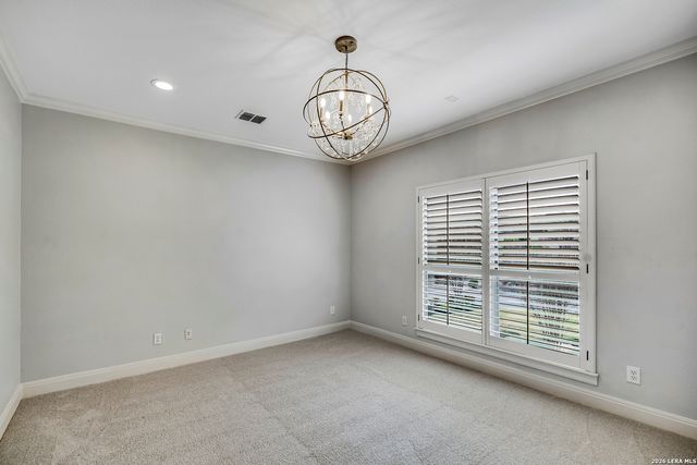 2011 Sauvignon, San Antonio, TX 78258