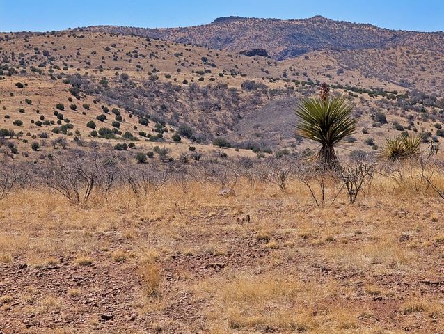 127 Clear View Drive, Fort Davis, TX 79734