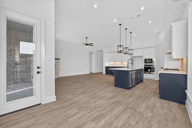 9817 Morning Cloak Drive, Denton, TX 76207