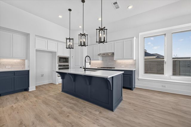 9817 Morning Cloak Drive, Denton, TX 76207