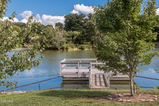 61 Wellington Street 61, Bristol, TN 37620