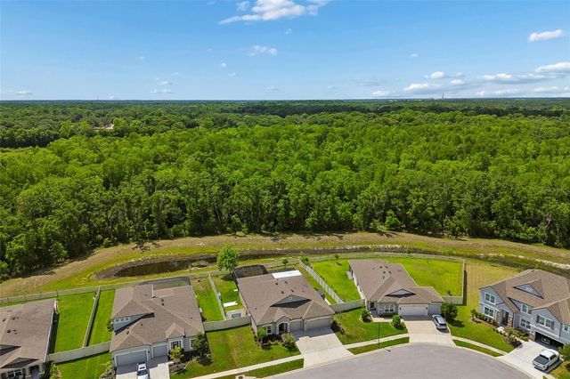 18078 ROMANESQUE COURT, Spring Hill, FL 34610