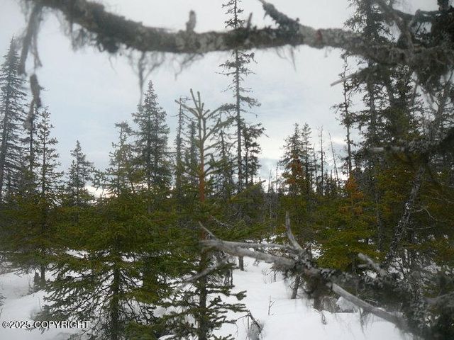 L18 & 19 Kachemak Bay Ranchos Sub, Anchor Point, AK 99556