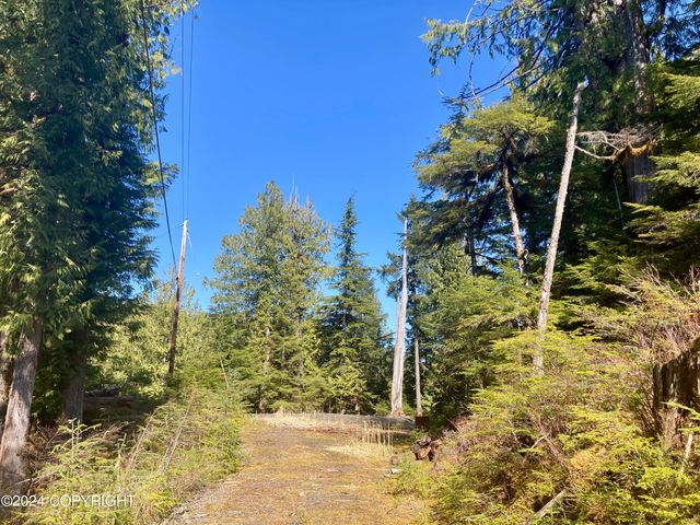 3B Fishtrap Drive, Whale Pass, AK 99000