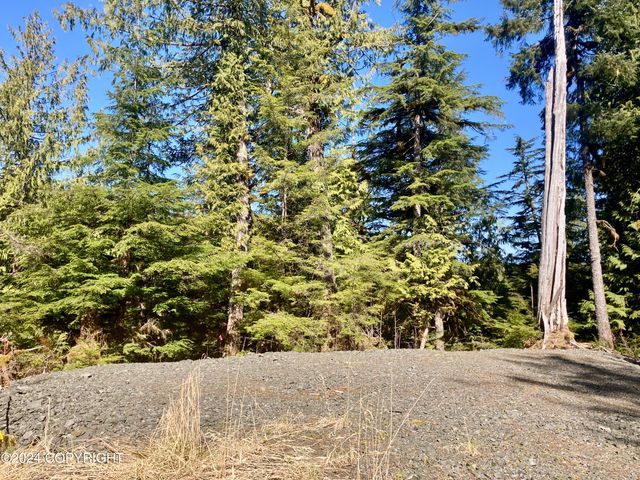 3B Fishtrap Drive, Whale Pass, AK 99000