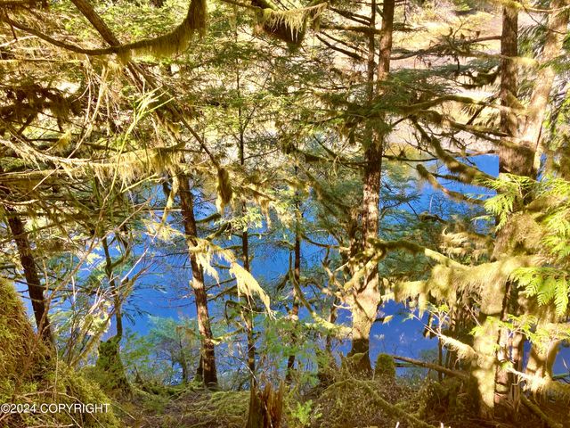 3B Fishtrap Drive, Whale Pass, AK 99000