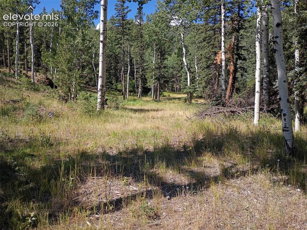 146 Waterfall Loop, Manitou Springs, CO 80829 — photo 2