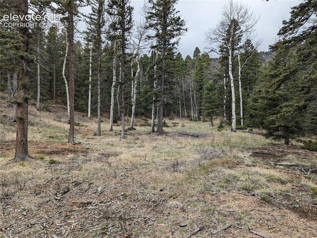 146 Waterfall Loop, Manitou Springs, CO 80829 — photo 3