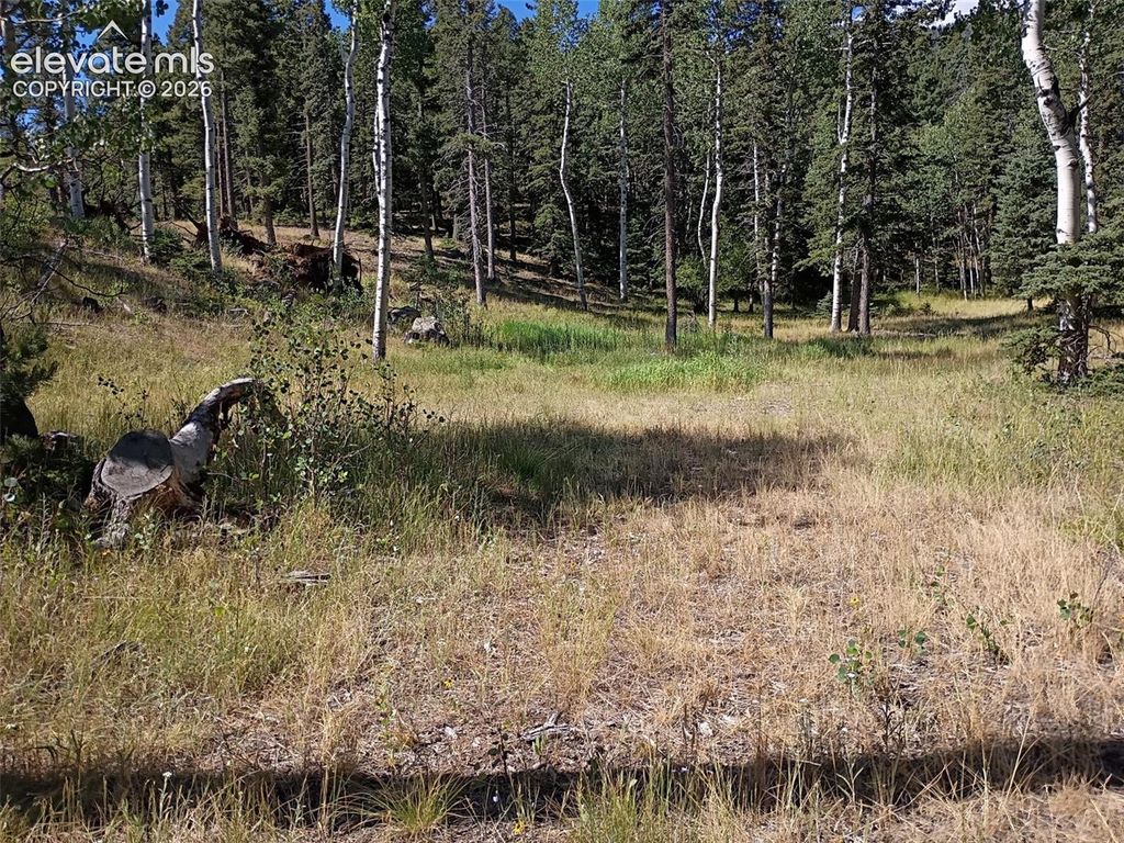 146 Waterfall Loop, Manitou Springs, CO 80829 — photo 4