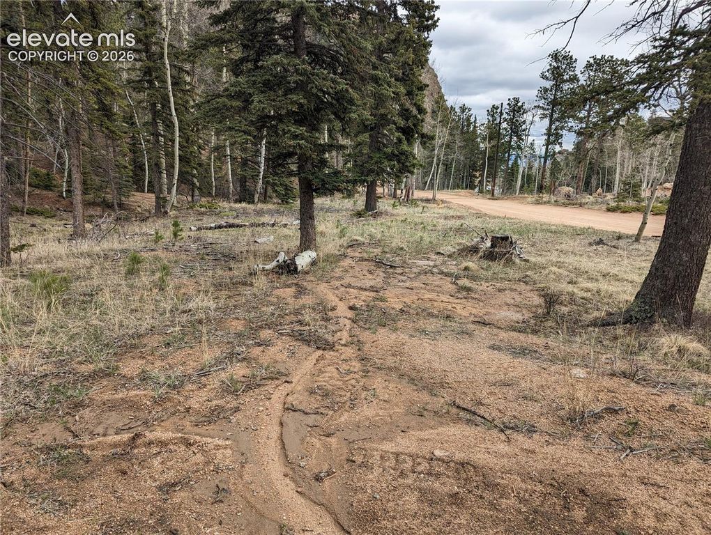 146 Waterfall Loop, Manitou Springs, CO 80829 — photo 5