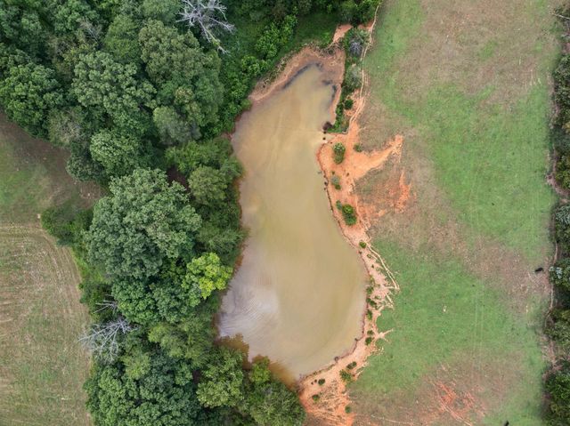 246 Akins Road, Tellico Plains, TN 37385