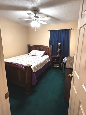 20219 Wild Berry Drive, Katy, TX 77449